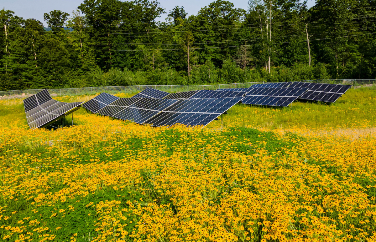 Federal community solar program extends $31 average monthly bill ...