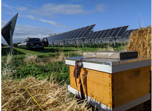 A beehive operated by Best Bees and sponsored by Google located at Jack's Solar Garden. Best Bees installs and maintains honeybee hives on commercial and residential properties across the U.S. and seeks to improve bee health and expand bee populations. Photo courtesy of Byron Kominek 