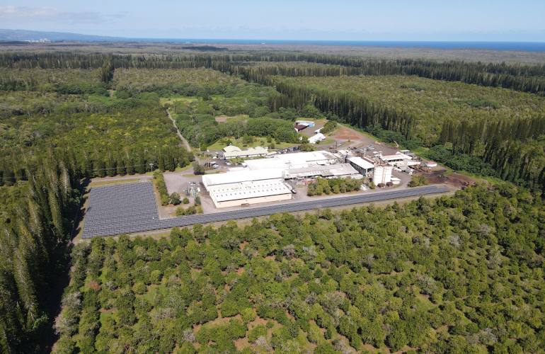 1.2-MW solar project helps power Mauna Loa macadamia nut processing plant in Hawaii