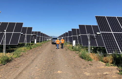 Contractors walk on an access road between rows of solar panels.