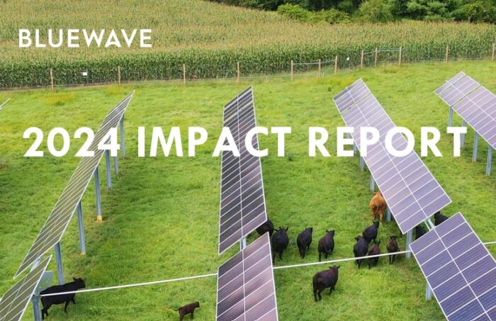 bluewave impact report