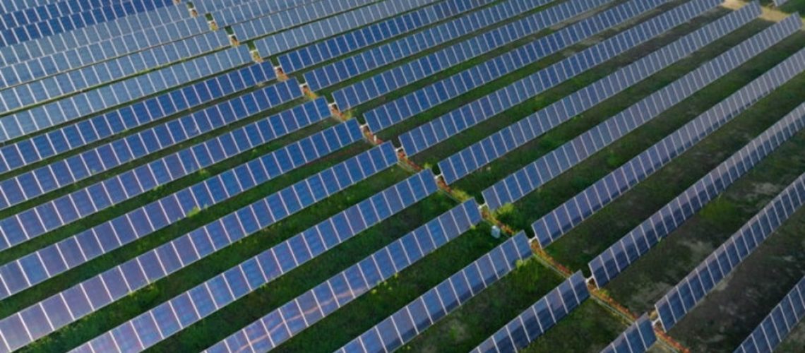 Amazon-Solar-Farm-OH-Yellowbud-1000.jpg