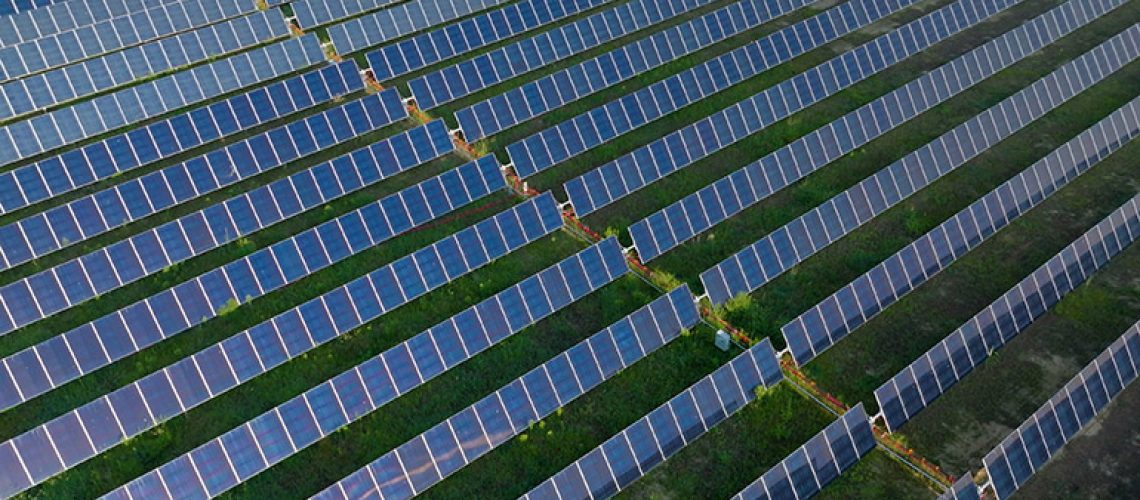 Amazon-Solar-Farm-OH-Yellowbud-2.jpg