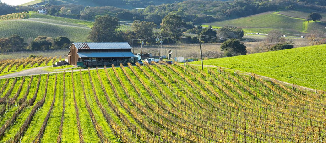 Carneros-Winery-Solar.jpg