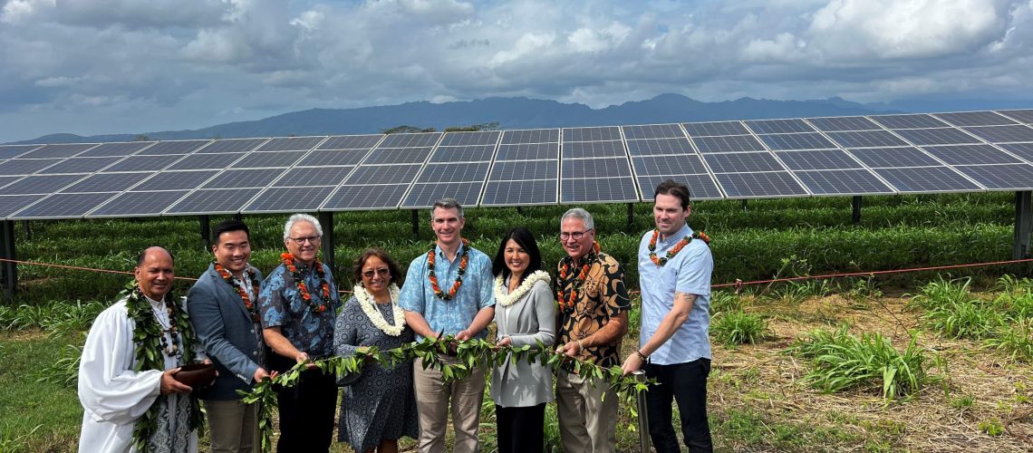 Clearway-Kamehameha-solar-farm-scaled.jpg