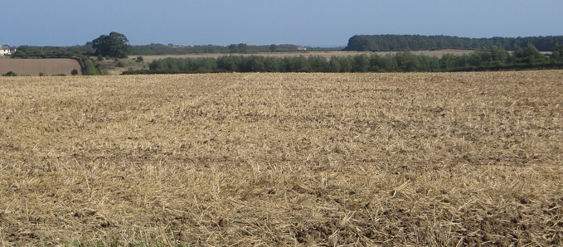 Cultivated_arable_field_-_geograph.org_.uk_-_4681994.jpg