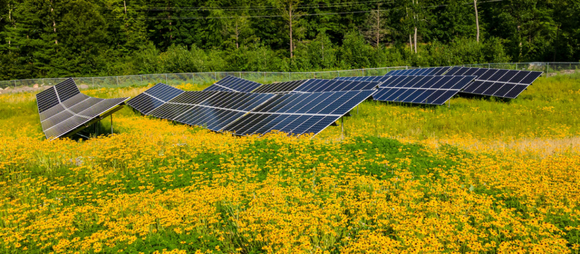 Lunenburg_ma_Community_Solar_Farm-1-1200x774.png