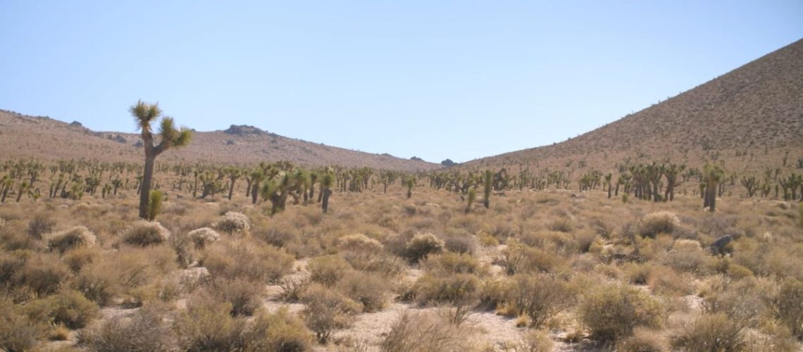 MojaveDesert-1200x675.jpg