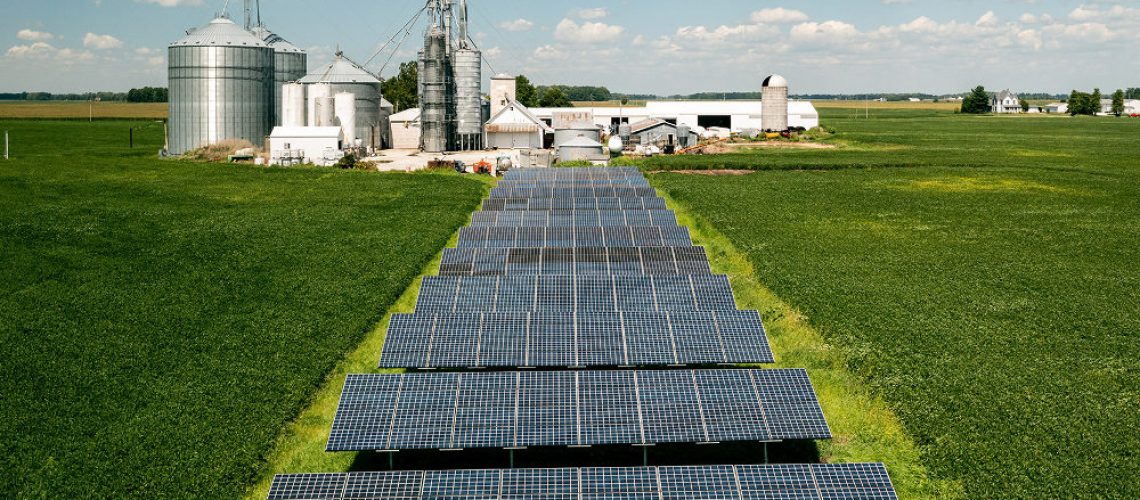 Report-Midwest-SitingRenewables-71-FaunaCreative-web.jpg