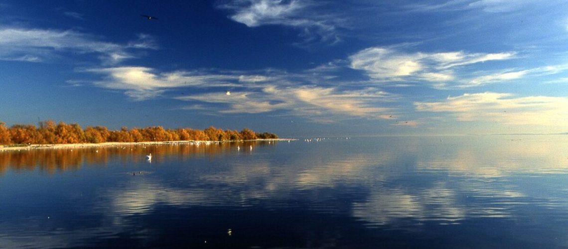 Salton_Sea_Reflection-1200x752.jpg