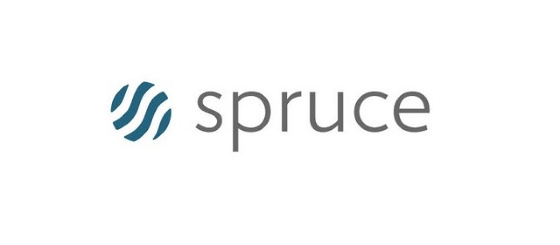 Spruce-finance-001.jpg