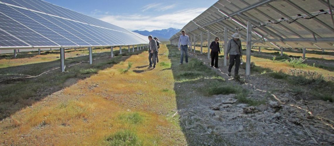 Valley-Electric-tortoise-friendly-solar-farm-Nevada-1200x785.jpg