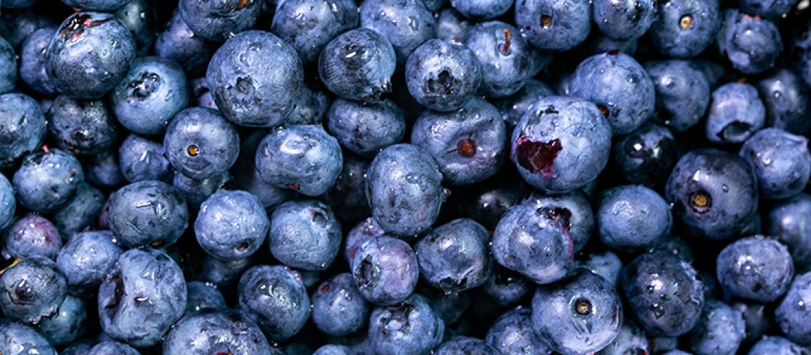 blueberry-stock.jpg