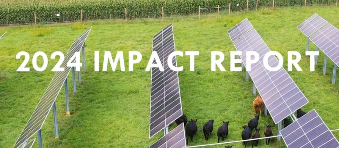 bluewave-impact-report.jpg