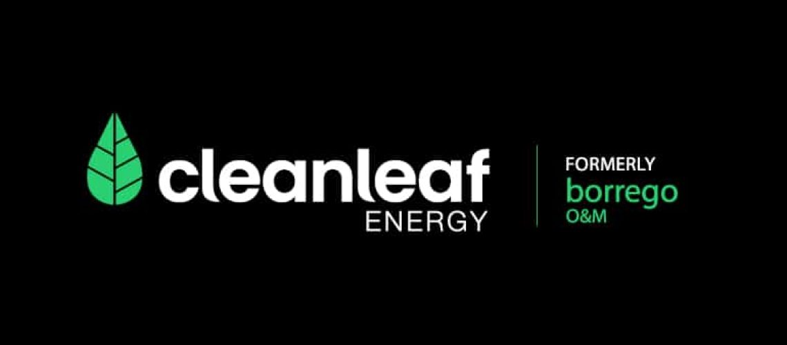 cleanleaf-logo.jpg