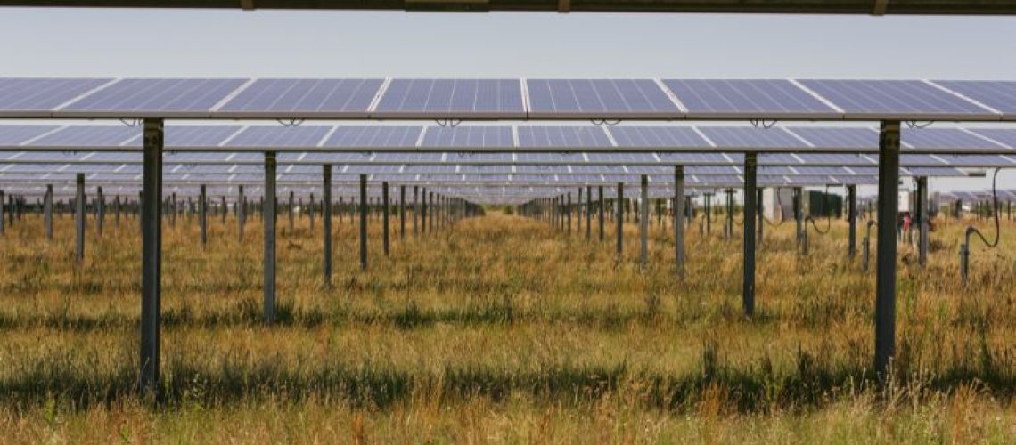 ground-mount-stock-2-CREDIT-AgriSolar-Clearinghouse.jpg