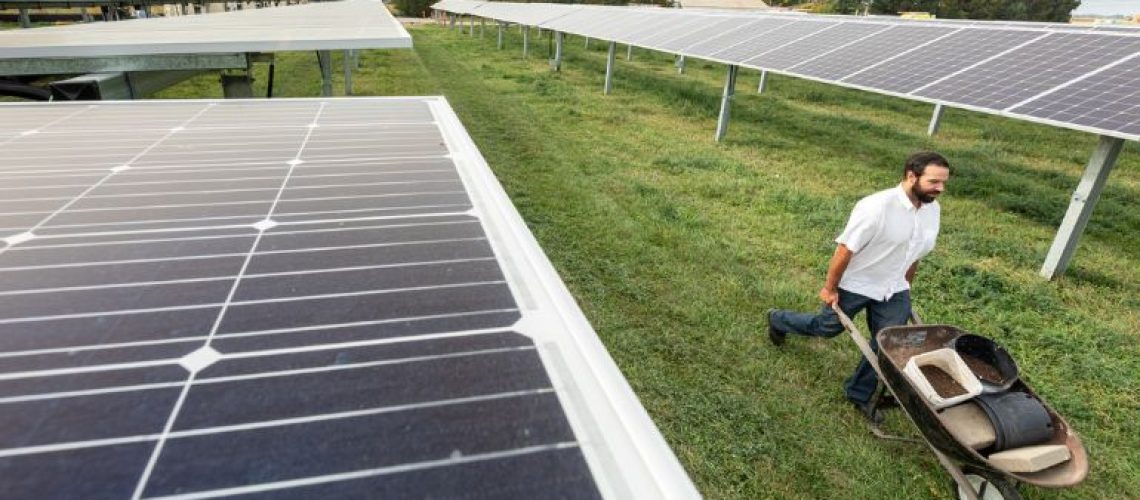 nrel-agrivoltaics-jacks-solar-garden.jpg