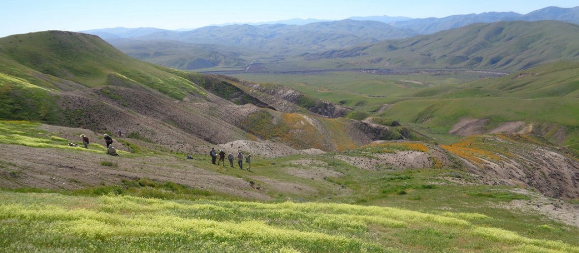 panoche_valley_blm_wordpress.jpg