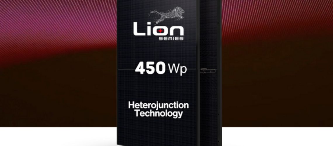 recom-lion-450.jpg