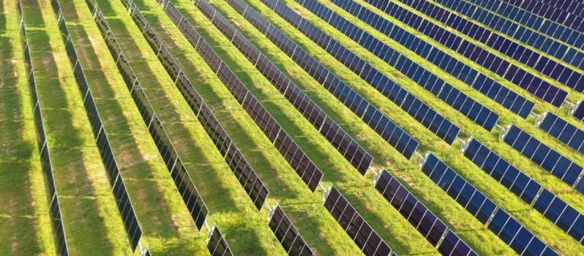 silicon-ranch-utility-solar-stock.jpg