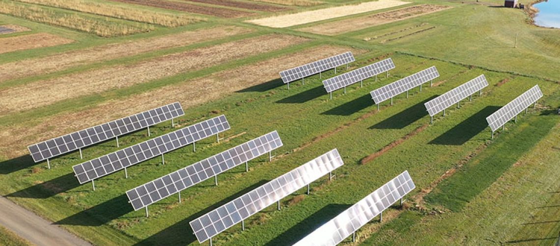 solaredge-agrivoltaics.jpg